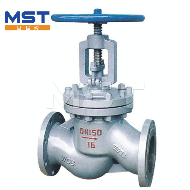 Kryogen Globe Valve